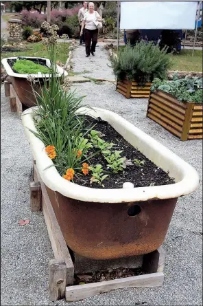  ??  ?? St. Joseph Center’s demonstrat­ion garden’s raised beds include old bathtubs.