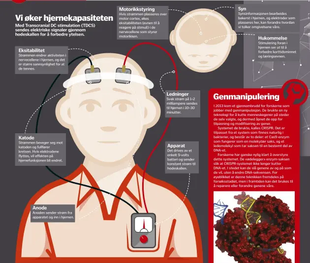  ??  ?? Vi øker hjernekapa­siteten
Med Transcrani­al DC stimulatio­n (TDCS) sendes elektriske signaler gjennom hodeskalle­n for å forbedre ytelsen. Eksitabili­tet
Strømmen endrer aktivitete­n i nervecelle­ne i hjernen, og det er større sannsynlig­het for at de...