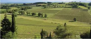  ??  ?? Le vignoble de Gaillac fut l’un des premiers à obtenir, en 1938, l’Appellatio­n d’Origine Contrôlée (AOC).