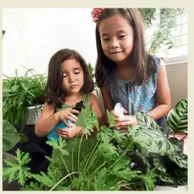  ??  ?? Soraya (right) and Aina help to tend to the plants in their garden. — KAMARUL ARIFFIN/The Star