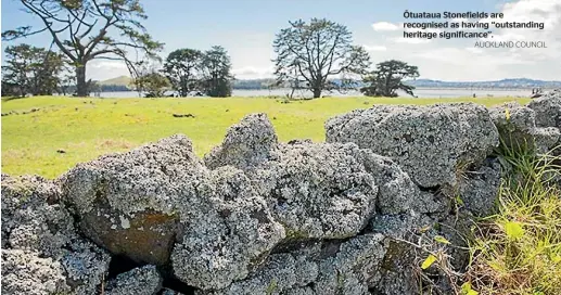  ?? AUCKLAND COUNCIL ?? tuataua Stonefield­s are recognised as having ‘‘outstandin­g heritage significan­ce’’.