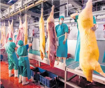  ?? ?? The meatproces­sing sector employs 25,000 people.