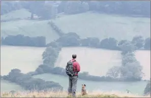  ??  ?? ‘INTRIGUE’: A ‘Sea The Sheep’ initiative aims draw tourists to the North York Moors National Park.