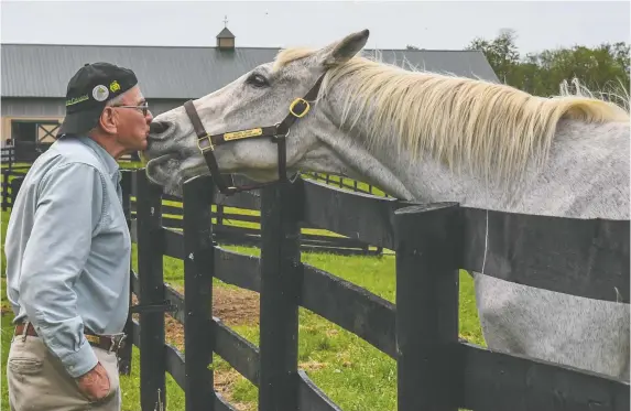  ?? PHOTOS: JONATHAN NEWTON/THE WASHINGTON POST ?? Old Friends Farm’s Michael Blowen gets a kiss from Silver Charm, which won the Kentucky Derby and Preakness.