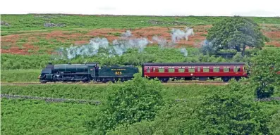  ?? ?? Traveller’s tales: Former Southern Railway S15 class 4-6-0 No. 825 at Moorgates on the North Yorkshire Moors Railway with a Pickering train on June 28. On board may be steam railway enthusiast Bizzer the bear regaling fellow passengers with journeys on heritage lines throughout the UK. BARBARA PRINCE