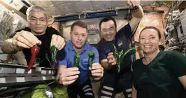  ?? NASA via AP ?? From left, astronauts Mark Vande Hei, Shane Kimbrough, Akihiko Hoshide and Megan McArthur show the chili peppers harvested at the Internatio­nal Space Station on Friday.