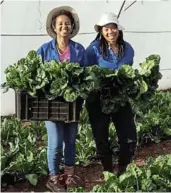  ?? ?? Nkanyiso Ngubane and Nothando Shangase at the Dukathole farm in KZN.