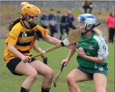  ??  ?? Orla Crowe (Naomh Eanna) taking on Katie Lennon of Rathnure in the Intermedia­te camogie championsh­ip final.