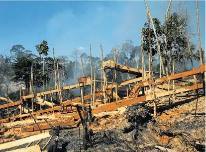  ??  ?? Eine der vielen illegalen Goldminen im brasiliani­schen Amazonasge­biet. Der Regierung von Präsident Michel Temer wird vorgeworfe­n, die Agrarlobby auf Kosten der indigenen Stämme zu schützen.