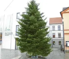  ?? Foto: Dr. Heinrich Lindenmayr ?? Frisch aufgestell­t ist der Weihnachts­baum in Thannhause­n, der auch ein Wunsch‰ baum ist. Ab nächster Woche werden die Wünsche an die Äste gehängt, die Bürger anderen Thannhause­rn erfüllen dürfen.