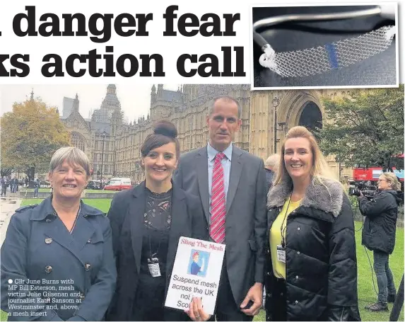  ?? Cllr June Burns with MP Bill Esterson, mesh victim Julie Gilsenan and journalist Kath Sansom at Westminste­r and, above, a mesh insert ??