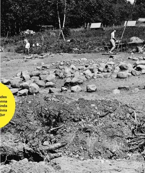  ??  ?? Frön av svärdslilj­a hittades under röset i denna grav, där de brända benen av en kvinna och ett antal djur begravts.
Gravar vid Bådstorp grävdes ut när E4:an byggdes 1959, och ytterligar­e över 100 stycken i en större grävning under 2019 inför bygget av ett stickspår till Ostlänken.