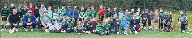  ?? ?? Some of the participan­ts at our astro hurling academy which is being run at Mitchelsto­wn Leisure Centre.