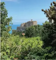  ?? ?? Gorey Castle on the Queen’s Jubilee