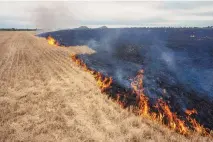  ?? NARIMAN EL-MOFTY/ASSOCIATED PRESS ?? Grain fields burn, on the outskirts of Kurakhove, Donetsk Oblast, eastern Ukraine, Thursday. Russia is moving to hold referendum­s as a pretext to absorbing occupied Ukrainian territory.