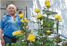  ?? Foto: Manfred Rinke ?? Wunschmoti­v: Mit seinen prächtigen Rosen im Garten wollte sich Fritz Seebauer ab bilden lassen.