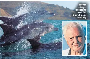  ??  ?? Shore thing... dolphins and Sir David beat Strictly