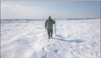  ??  ?? Dar walks over a swamp covered with frozen snow as he monitors movement of birds.