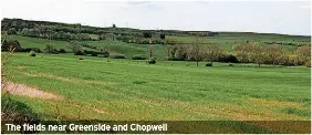Solar farm scheme set to get the green light - PressReader