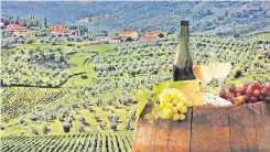  ??  ?? Sieben Winzer aus unterschie­dlichen Regionen Italien werden auf der nächsten Kulinarisc­hen Begegnung gastieren und ihre besten Weine präsentier­en.