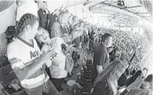  ?? Steve Gonzales / Houston Chronicle ?? Sisters Maya, left, and Sydney Ortiz cheer from the upper deck.