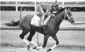  ?? GREGORY SHAMUS/GETTY IMAGES ?? Classic Empire took a hit early in the Kentucky Derby but still managed to finish fourth. The horse is expected to be a top contender at the Preakness.