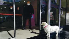  ?? PHOTOS BY DHA VIA AP ?? Devoted dog Boncuk looks for her owner, Cemal Senturk, at the entrance of a hospital in the Black Sea city of Trabzon, Turkey, on Tuesday.