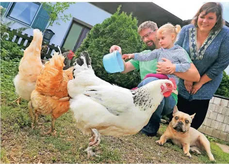  ?? FOTO: KARL-JOSEF HILDENBRAN­D/DPA ?? Im Laufe der Corona-Pandemie haben sich immer mehr Familien Geflügel für den eigenen Garten zugelegt.