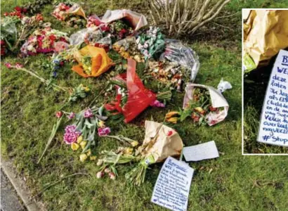  ?? FOTO ROBIN UTRECHT ?? “Ik leg deze bloemen als eer aan de slachtoffe­rs van satanisch misbruik”, luidt de boodschap op dit kindergraf in Bodegraven, een beschuldig­ing aan het adres van de Nederlands­e infectiolo­og Jaap van Dissel.