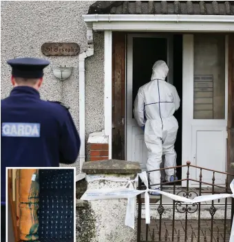  ??  ?? A forensic garda examines the front door of the house in Rathmullan Park, Drogheda, where Christina Leslie suffered a major head injury. Inset, a stain on the stair bannister is tagged for investigat­ion. Photos: Steve Humphreys