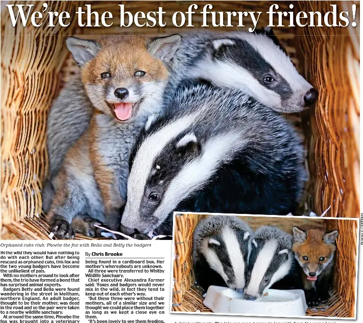 We're the best of furry friends! - PressReader