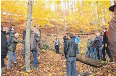  ??  ?? Bevor es an die geplante MTB-Strecke ging, machten die Teilnehmer der Waldbegehu­ng auch Station in einem naturbelas­senen Buchenwald.