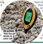  ??  ?? READING Test the pH levels in your soil