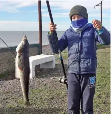  ??  ?? De izquierda a derecha: Diego con un triplete de pescadilla­s; encarne para variada local: camarón y tira de magrú; Fernando Riera con un pejerrey escardón recién capturado; y (arriba) Enzo Goro muestra su róbalo, imitando a su padre y a su tío.