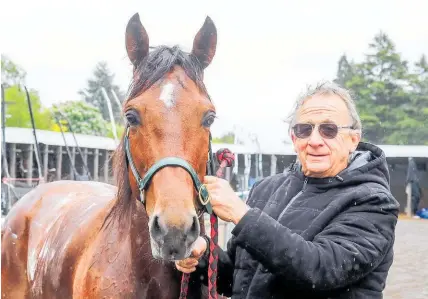  ?? Photo / HRNZ ?? Ray Green and his favoured Harness Jewels charge at Cambridge today, Copy That.