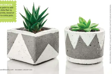  ??  ?? DECORATE
Use paint to add a little flair to concrete, wood or terra-cotta pots.