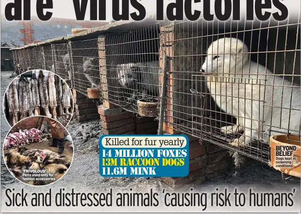  ??  ?? ‘FRIVOLOUS’
BEYOND BELIEF Dogs kept in sickening conditions