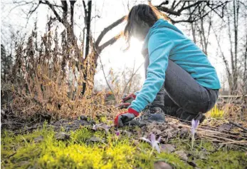  ?? FOTO: FLORIAN SCHUH/DPA ?? Die ersten warmen Sonnenstra­hlen ziehen viele Hobbygärtn­er nach draußen.