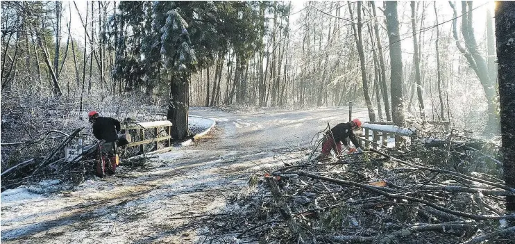  ?? — METRO VANCOUVER ?? Metro Vancouver regional parks crews clear the main access road at Aldergrove Regional Park following ice storms that brought down trees and branches.