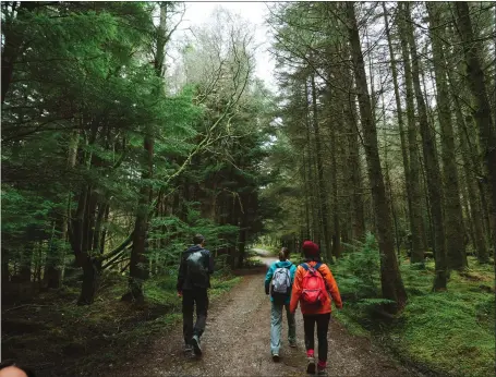  ?? ?? As well as being good for the environmen­t, woodlands boost mental wellbeing. Inset, Environmen­t Minister Mairi Mcallan