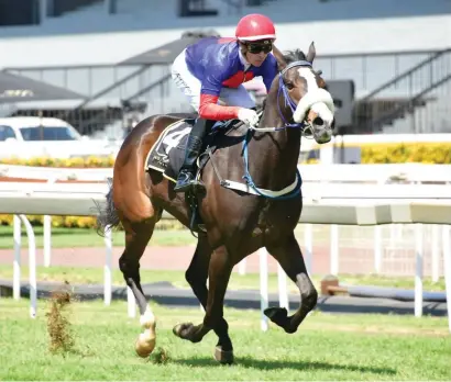  ?? Picture: JC Photograph­ic ?? TALENTED: Tropic Sun could not have been more impressive when winning on debut and she can follow up in Race 7 on the Vaal Classic track tomorrow.