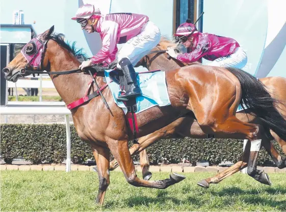  ?? Picture: RICHARD GOSLING ?? Andrew Spinks rides a winner as Hidden Rose takes out the Fillies &amp; Mares BenchMark 65 Hcp (1200m) at Aquis Park.