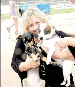  ??  ?? Right: Elaine Clayton helped with PG Telco’s vendor booth during the Soggy Doggy Pool Party but also brought her two dogs along. Stella, left, is a pound puppy and Hattie is a purebred Jack Russell Terrier. The dogs didn’t swim but still enjoyed all...
