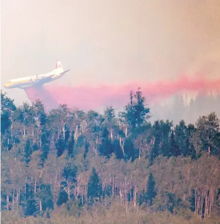  ?? DARRYL DYCK / THE CANADIAN PRESS ?? A tanker drops retardant while battling the Shovel Lake wildfire near Fraser Lake, B.C., on Friday. In addition to fire retardant, crews have lit back burns, where a fire is lit in front of the wildfire with the intent of consuming all the fuel, thereby stopping the out-of-control fire.