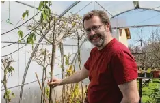  ??  ?? In einem selbst gebauten „Palmen Folien Gewächshau­s“hat Johannes Wagner ideale Möglichkei­ten zum Überwinter­n der empfindlic­hen Pflanzen geschaffen.