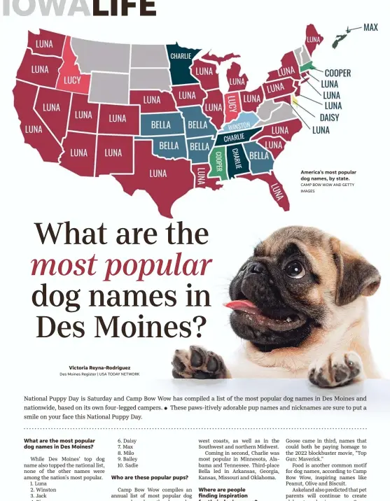  ?? CAMP BOW WOW AND GETTY IMAGES ?? America's most popular dog names, by state.