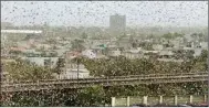  ?? PTI ?? A swarm of locusts flies over DLF area, in Gurugram, on Saturday