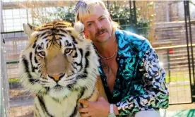  ??  ?? Joe Exotic, star of the Netflix show Tiger King, with one of his animals. The justice department said it had seized 68 lions, tigers and lion-tiger hybrids as well as a jaguar from his former animal park. Photograph: Netflix US/AFP/Getty