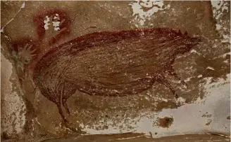  ??  ?? ABOVE: A wild pig in the world’s oldest cave painting.