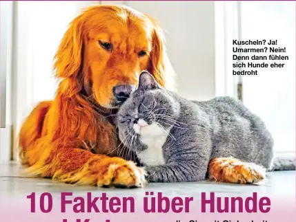  ??  ?? Kuscheln? Ja! Umarmen? Nein! Denn dann fühlen sich Hunde eher bedroht